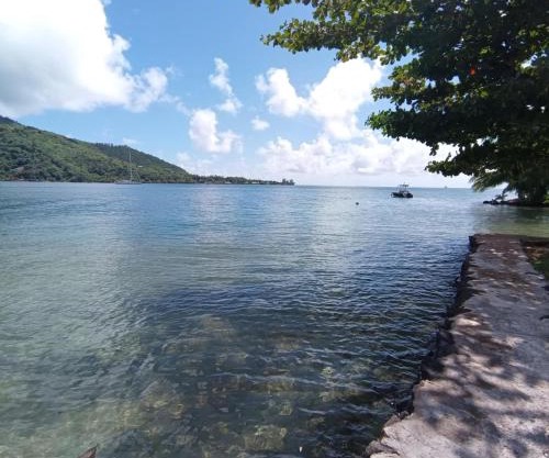 FaraTea Bay house