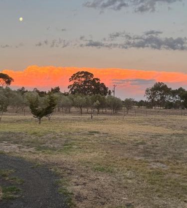 Farm Stay, Feed Sheep & Relax