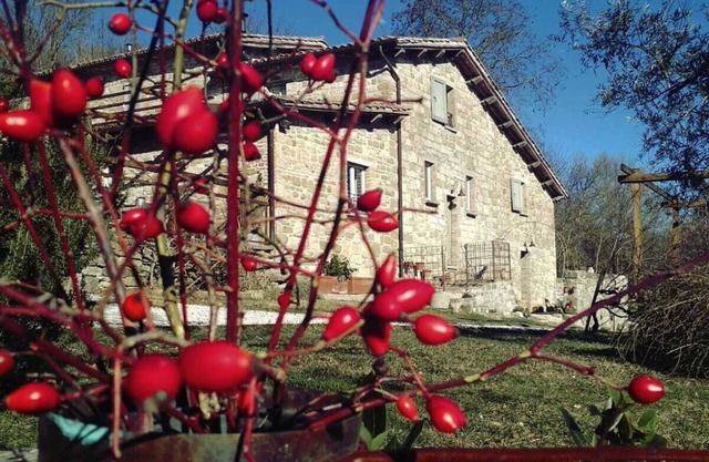 Farmhouse 