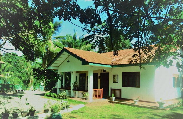 Feel at home at this eco lodge among lush green woods with soothing massage