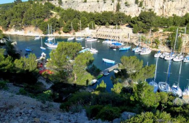 Feel Good Cassis