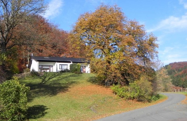 Ferienbungalow Willingen-Winterberg