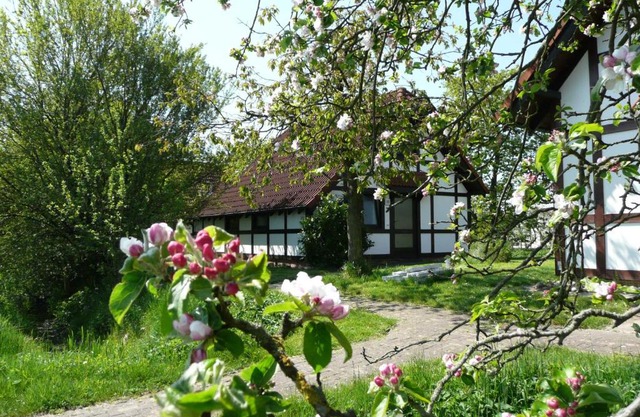 Ferienhaus Deichgraf 