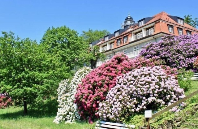 Ferienwohnung/app. für 5 Gäste mit 128m² in Dresden