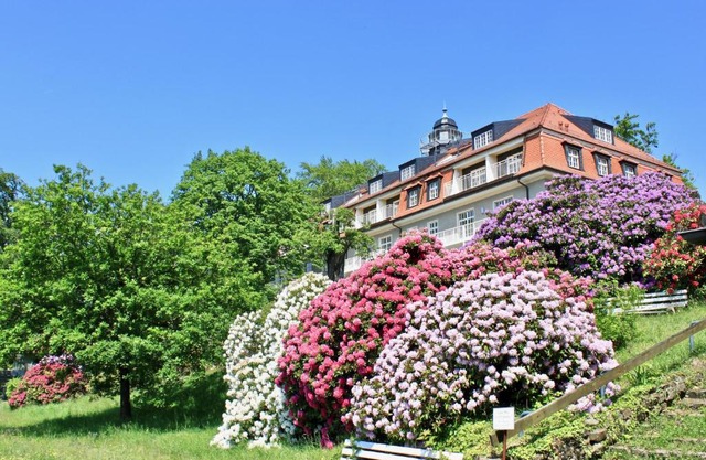 Ferienwohnung Natur und Kunst