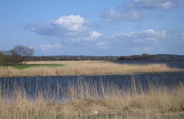 Ferienwohnung Zempin USE 3131