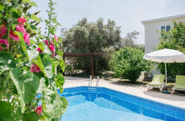 Five Greeks 4 Bedroom Villa in Paphos