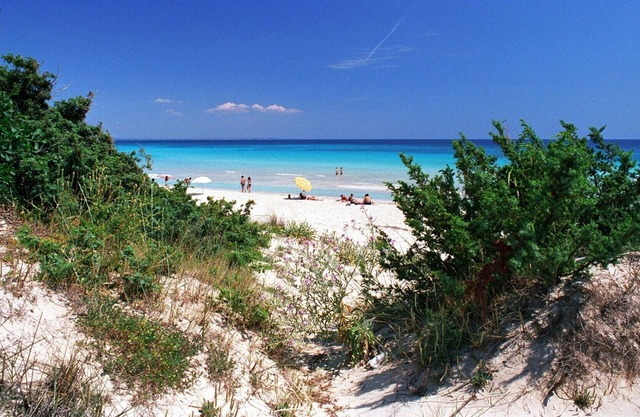 Flat with sea view in Apulia for vacation