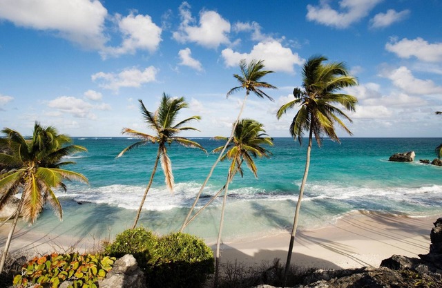 Footprints South, St James by Personal Villas - Slick Stylish and Tropical Vibe