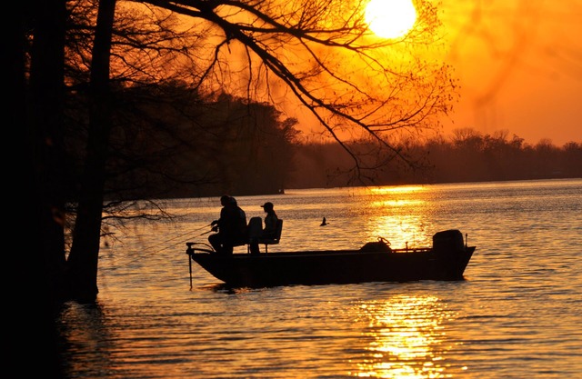 For Larger Groups Up To 24, Right on Reelfoot Lake-Private Dock And Pier.