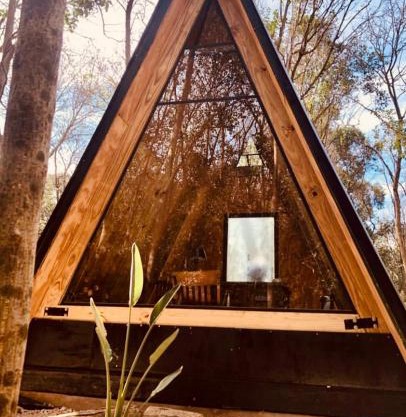 Forest Glam