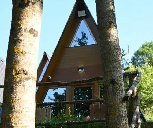 Forest Heaven