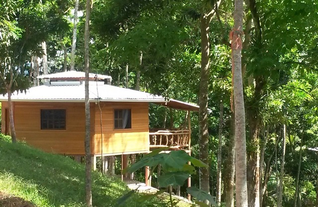 Forest hut and hot springs