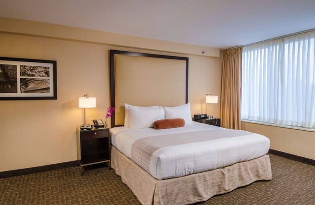 Four Modern Units in the Heart of DC! Pets are Welcome, w/ Private Parking