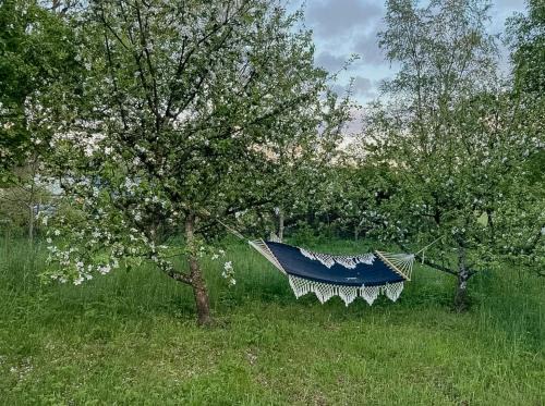 Framed Structure With Annexes In Österlen