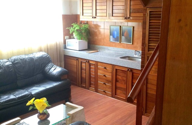 Free Airport Pick Up, 40 Mbps Wifi, El Olivar, San Isidro Apart #4