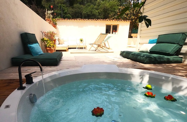 Gîte "balnéo" Sous le Figuier, un Lieu de Détente au Coeur de la Pinède