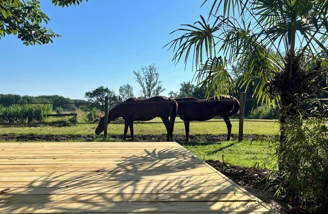 Gîte les Millères - Maison de Campagne Avec Animaux et pré Pour Chevaux