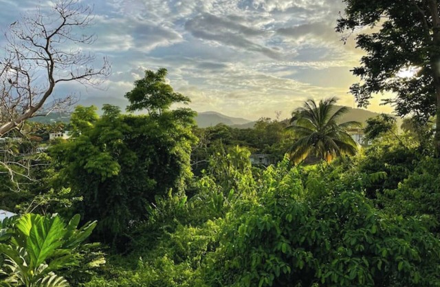 #G Tropical Rainforest Retreat Ocean View w/hottub