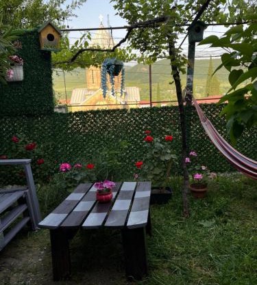 garden and panorama