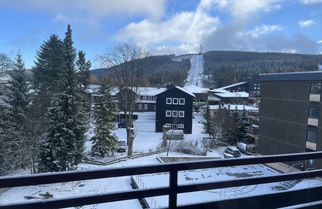 Gemütliches Ferienappartement in Hahnenklee Direkt am Kranichsee
