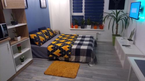 Comfort Town 