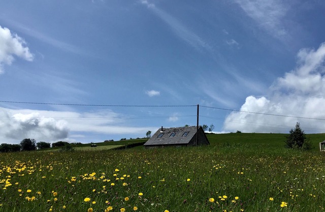 Gig house converted to a one bedroom cottage