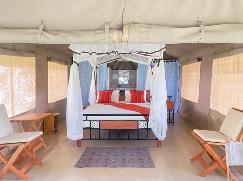 Giraff maasai mara home stay&safaris