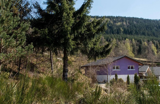 Gite Cornimont, 3 bedrooms, 6 persons
