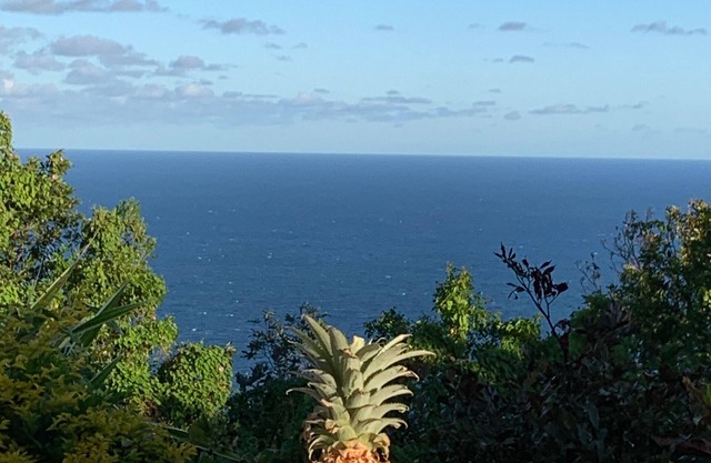 Gite Petite Île, 1 bedroom, 2 persons