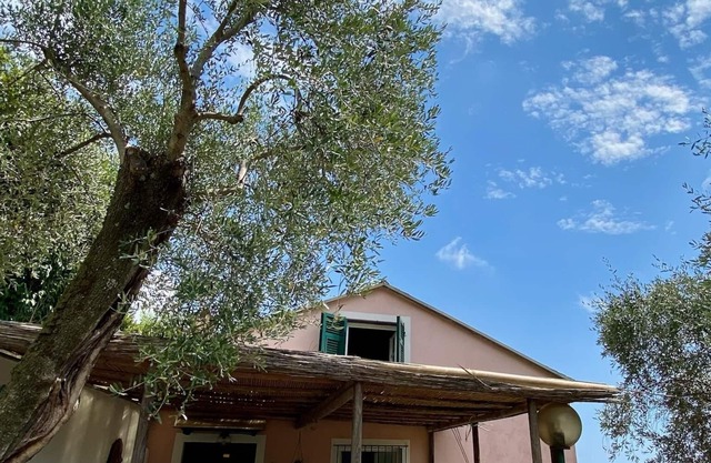 “Giulli” Typical Ligurian rustic immersed in the olive grove