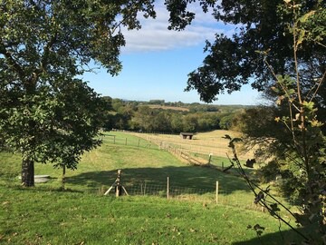 Glamping 1-Bed Cottage in Hellingly in Hellingly