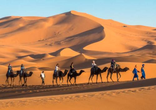 glamping Dunes CAMP