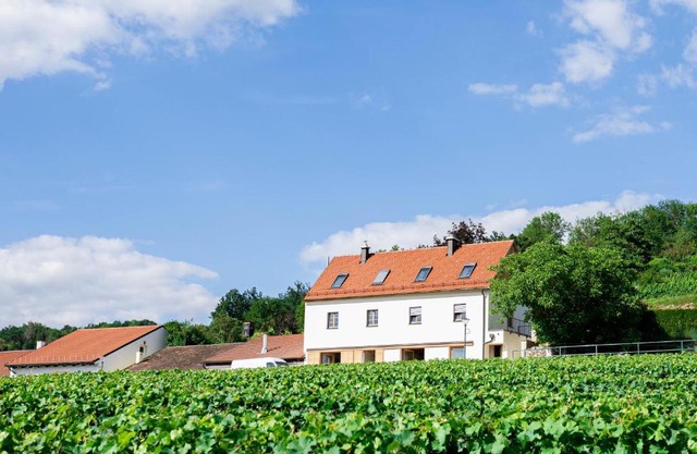 Goldberg Appartement