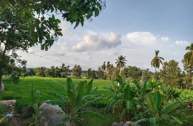 Gopi Plantation Homestay