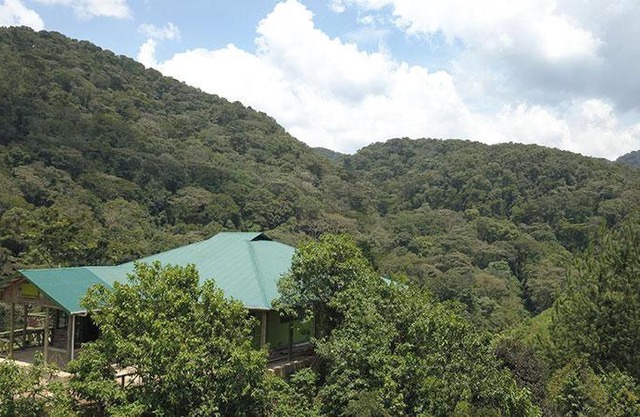 Gorilla Hills Eco-lodge