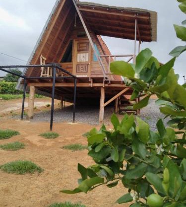 Gran Vista Glamping Curití