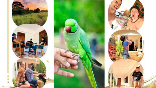 Grand Refuge wilpathu safari Home made foods Bikes Bicycles Tuk tuk Bird view Lake jogging
