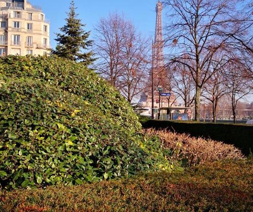 Grand Studio près de Tour Eiffel sur quai de Seine