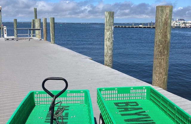 Great Family rental with bay views from screen porch