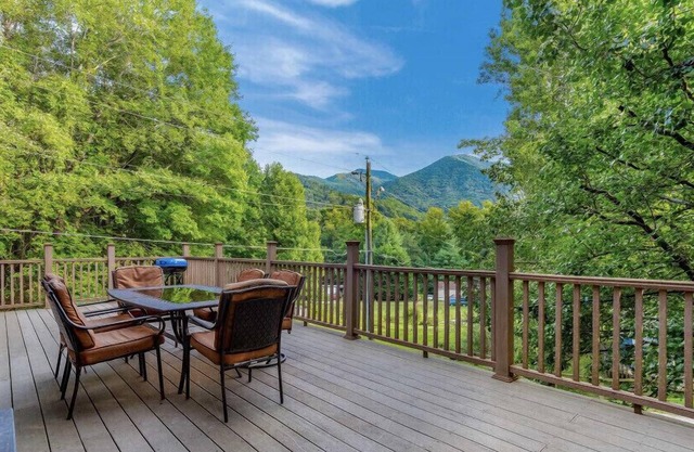 Great view! Pet & family friendly! 2 fireplaces! Close to the parkway!
