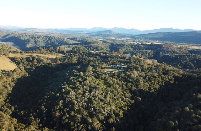 Green Hills Forest Lodge The Crags Plettenberg Bay South Africa 