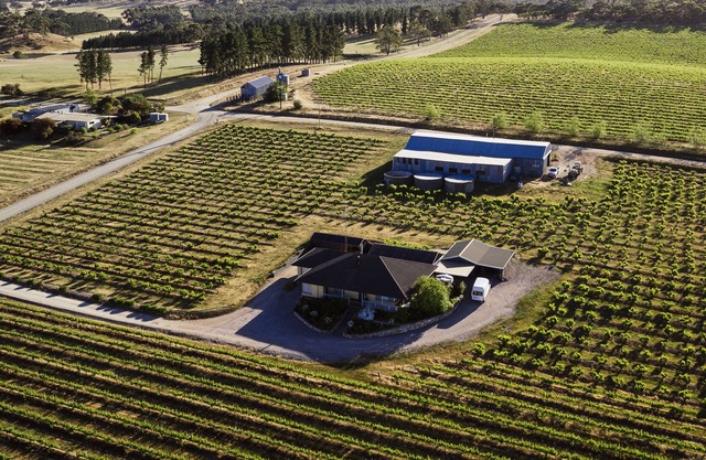Grenache House - Beautiful vineyard views, only 5 minutes drive from Clare.