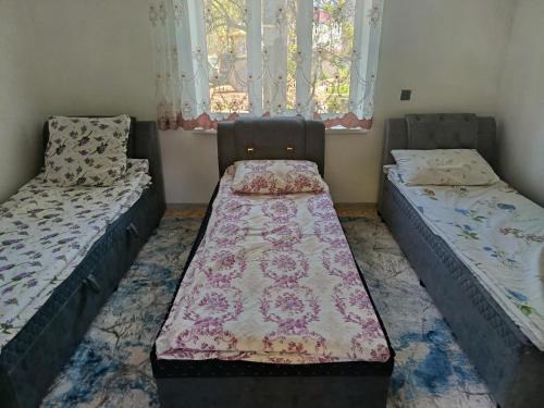 Guest House Turna