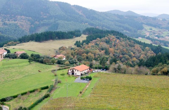 H&AP Rural Merrutxu