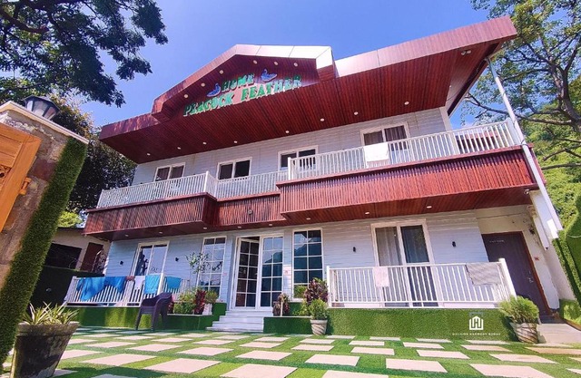 H3-Peacock Feather (Hotel Near Sahastradhara)