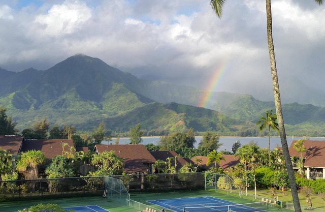 Hanalei Bay RESORT 2312 289.00 Oct28-Nov1 BlowOutSaleBeachFront 10 Star Reviews!