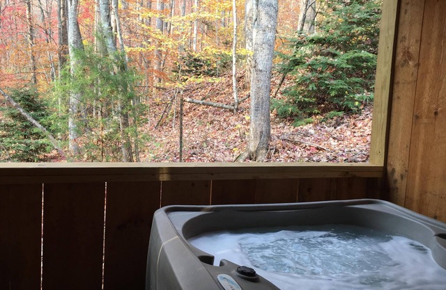 Hanky Panky!- Hot Tub, Fireplace, Romantic, Secluded, WiFi