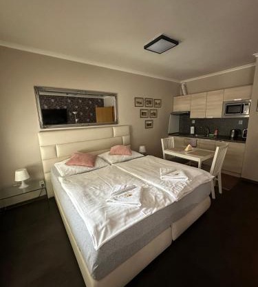 Harrachov Resident Apartments "Terrace & Chill" - high speed WiFi, možnost snídaně, Smart TV, Netflix, Disney plus