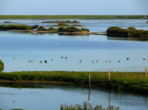 Haus Halligblick, Ferienwohnungen am Wattenmeer, Whg Oland
